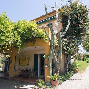 B&B La casa dei gelsi